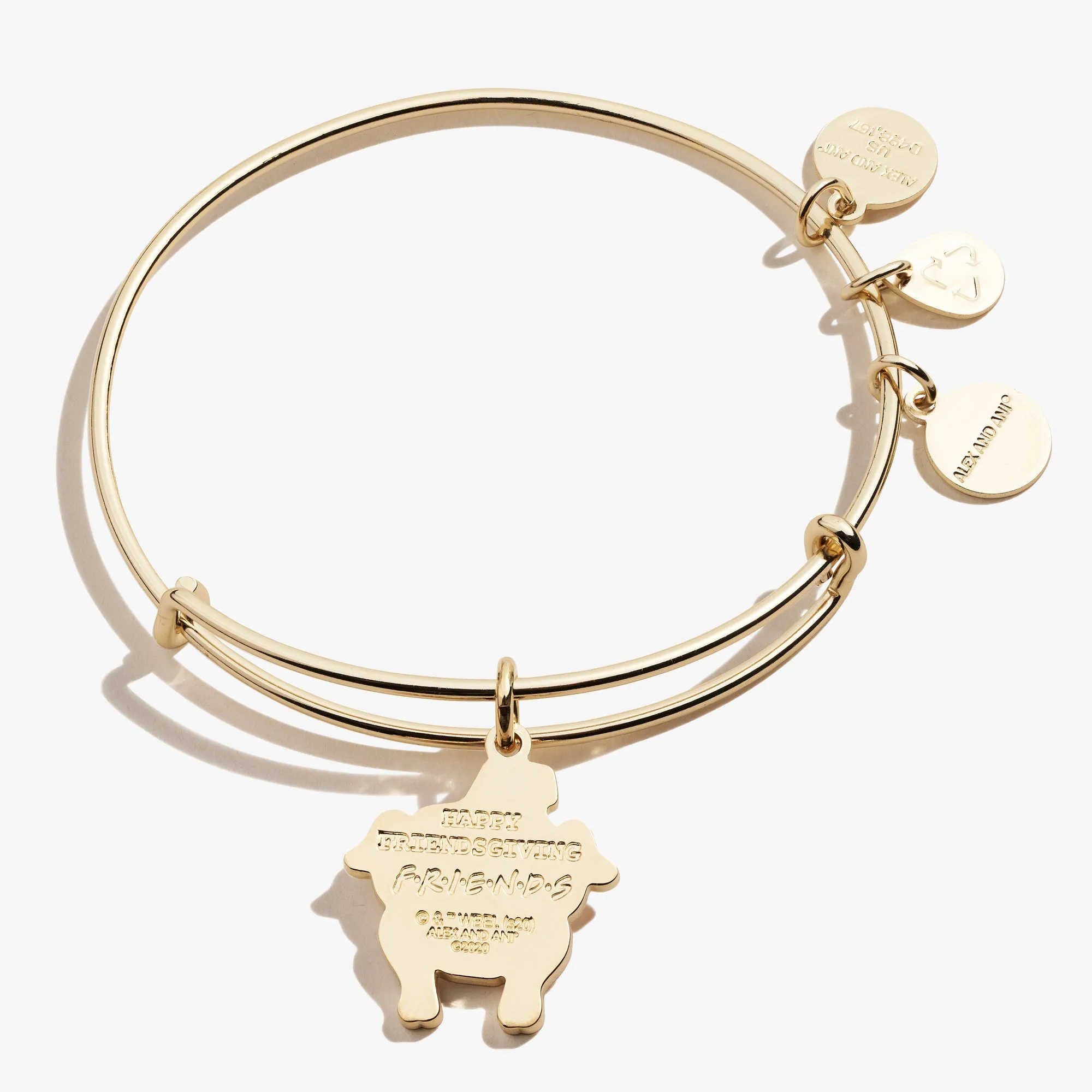 FRIENDS? Thanksgiving Turkey Charm Bangle
