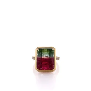 Lisa Nik 18k Yellow Gold Watermelon Tourmaline and Diamond Ring