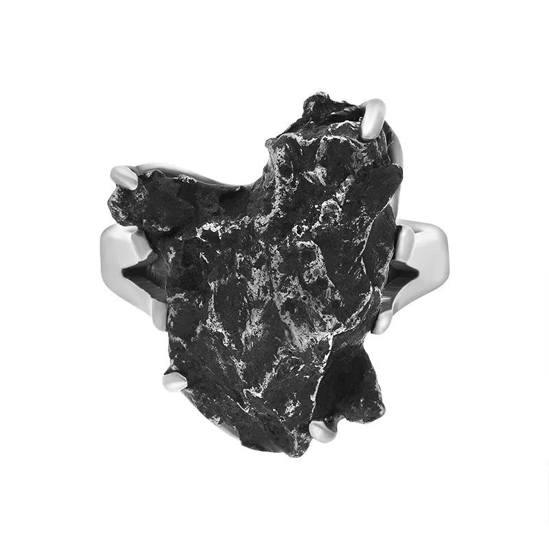 Sterling Silver Meteorite Unique Ring D